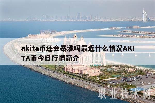 akita币还会暴涨吗最近什么情况AKITA币今日行情简介-第1张图片-交易所